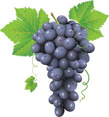 GRAPE